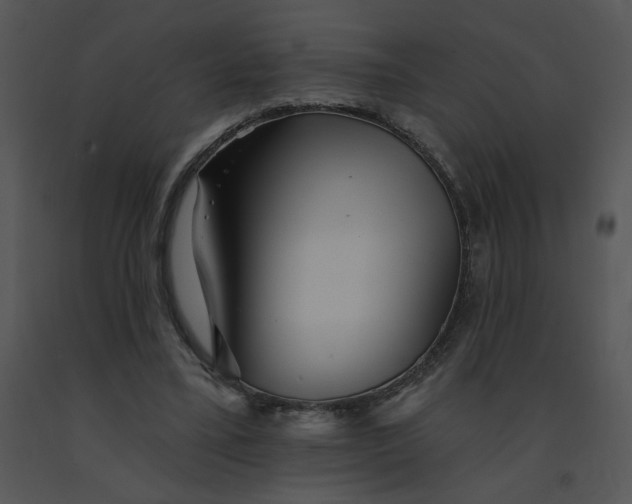 X0000091370395200708311529