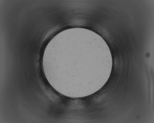 X0000091370396200708311529