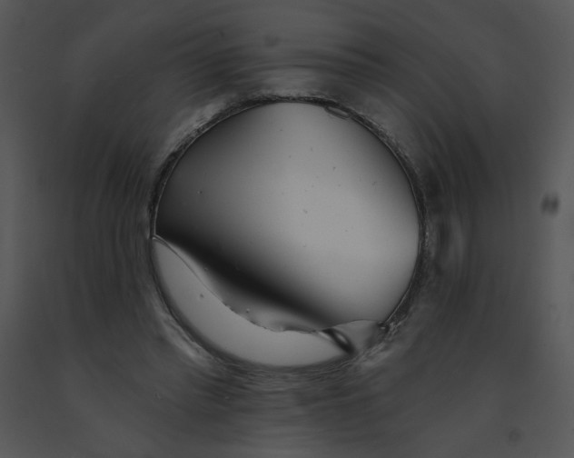 X0000091370397200708311529