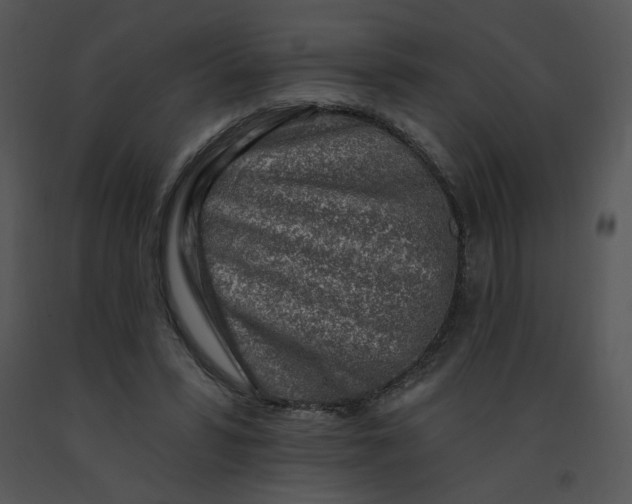 X0000091370399200708311529