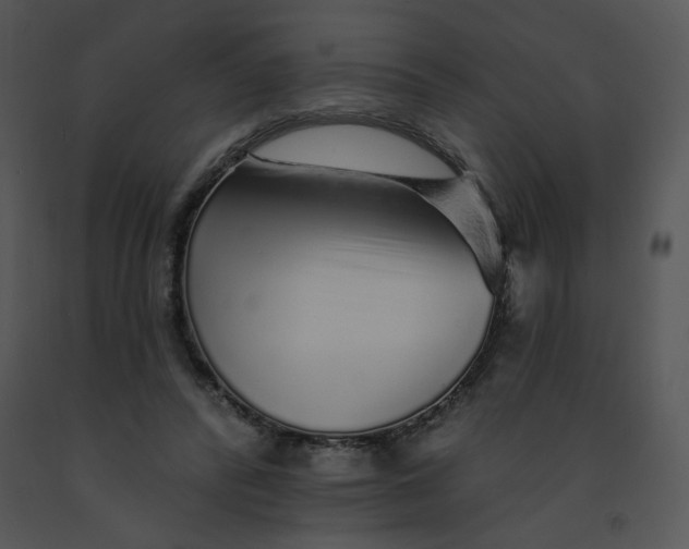 X0000091370400200708311529