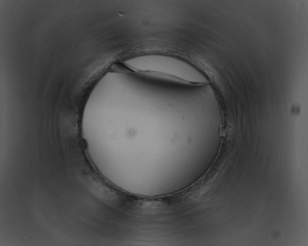 X0000091370401200708311529