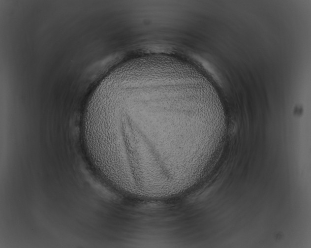 X0000091370402200708311529