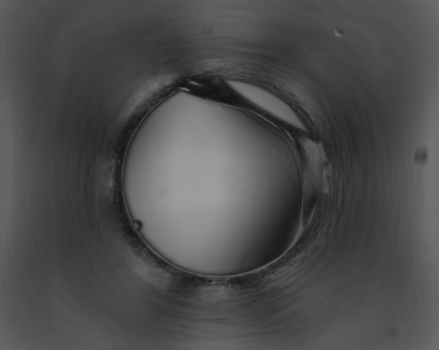 X0000091370404200708311529