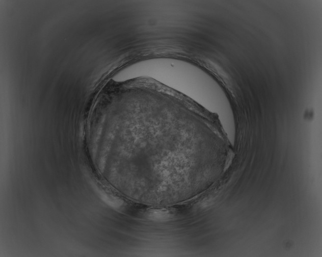 X0000091370405200708311529