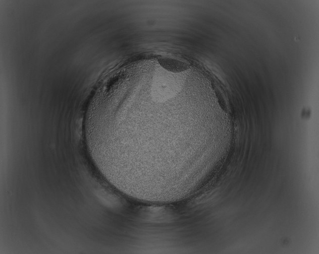 X0000091370406200708311529