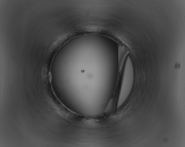 X0000091370407200708311529