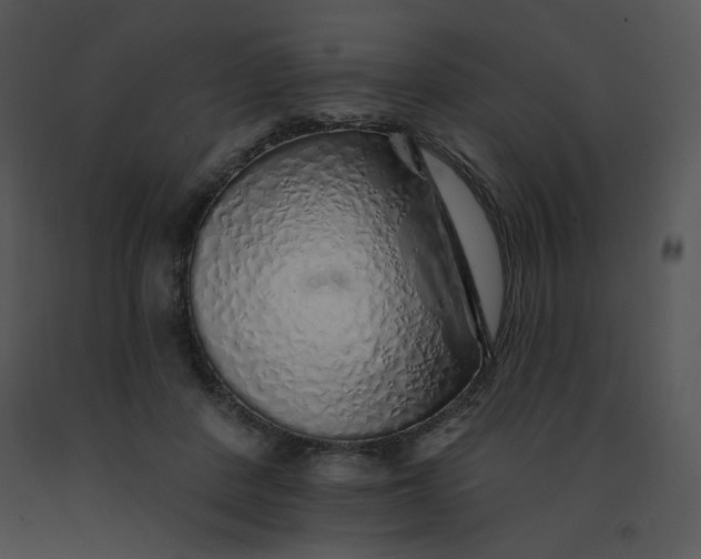 X0000091370408200708311529