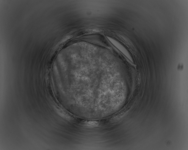 X0000091370409200708311529