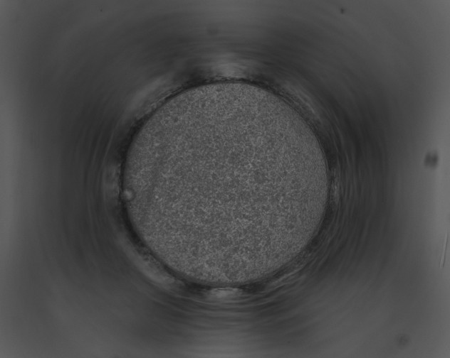 X0000091370410200708311529