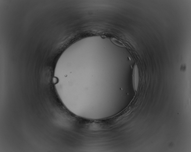 X0000091370412200708311529