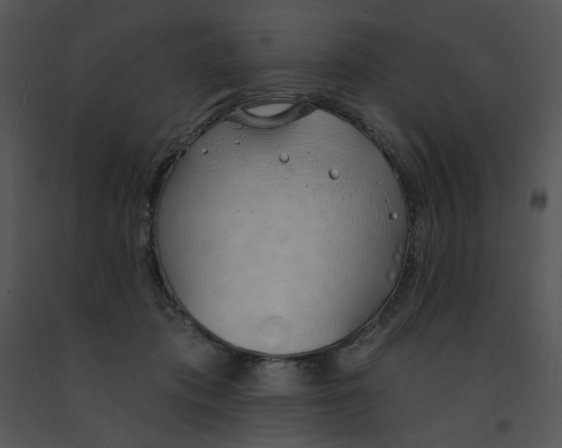 X0000091370413200708311529