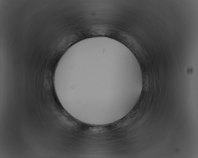 X0000091370414200708311529