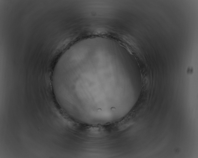 X0000091370415200708311529