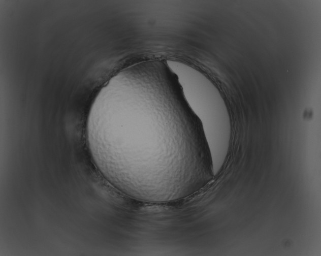 X0000091370417200708311529