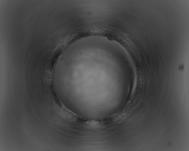 X0000091370419200708311529