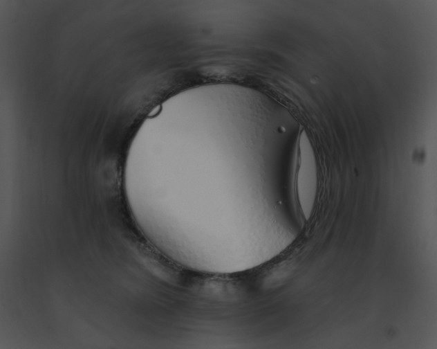 X0000091370420200708311529