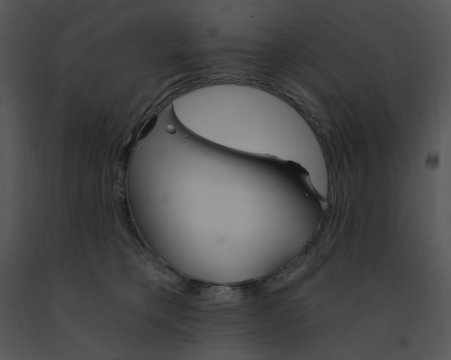 X0000091370421200708311529