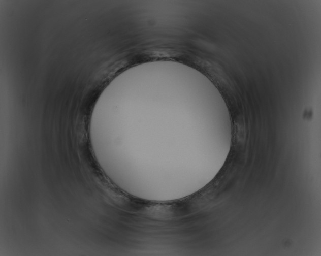 X0000091370422200708311529