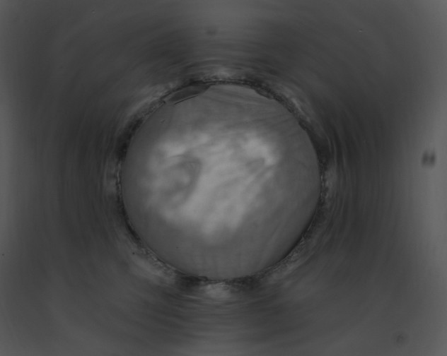 X0000091370423200708311529