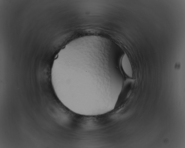 X0000091370424200708311529