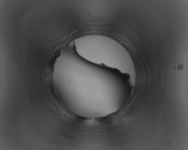 X0000091370425200708311529