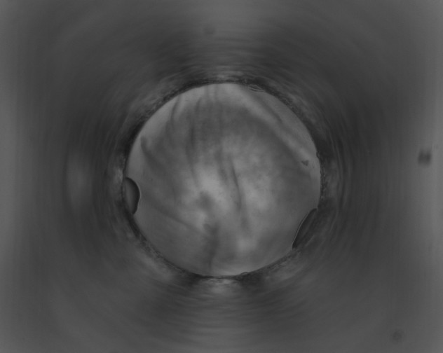 X0000091370427200708311529