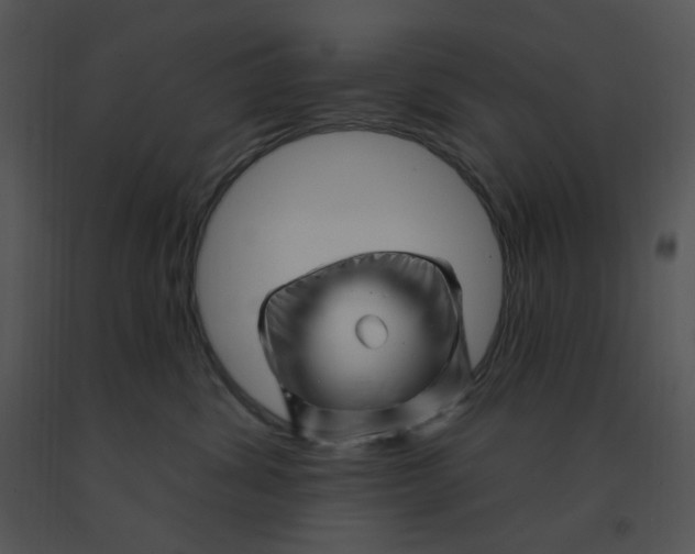 X0000091370428200708311529