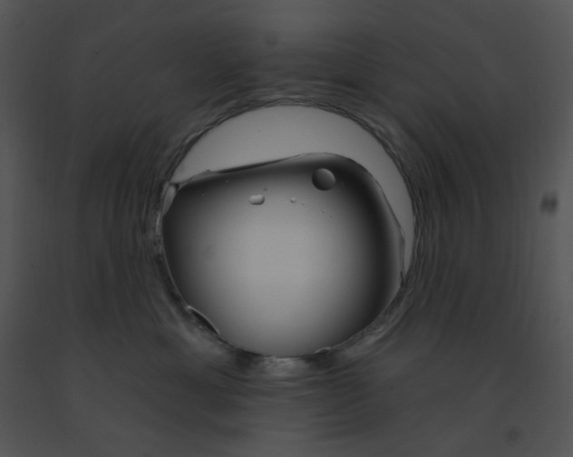 X0000091370429200708311529