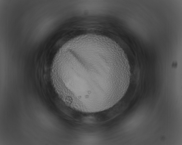 X0000091370430200708311529