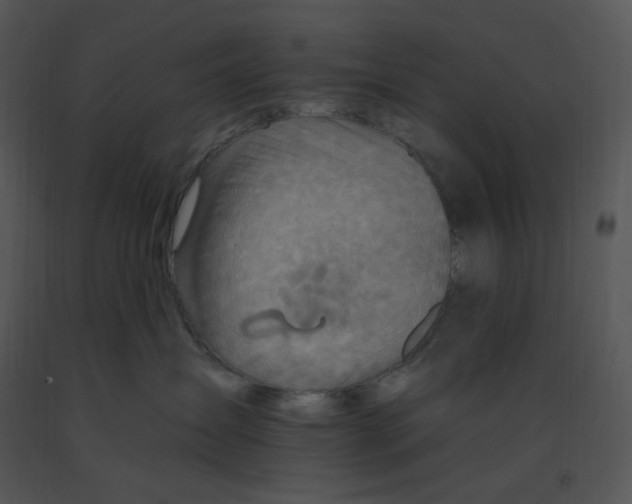 X0000091370431200708311529