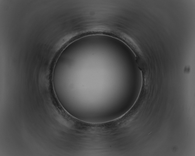 X0000091370436200708311528