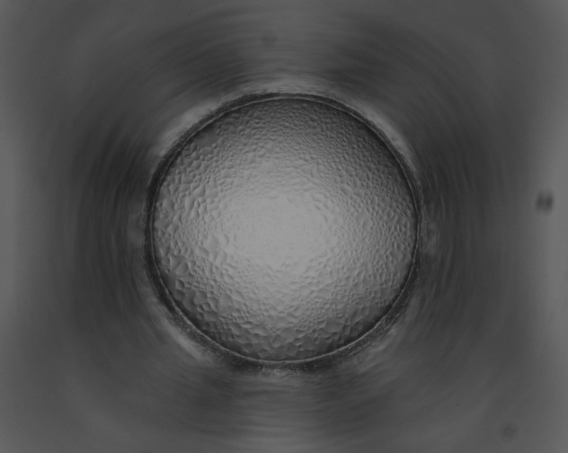 X0000091370437200708311528