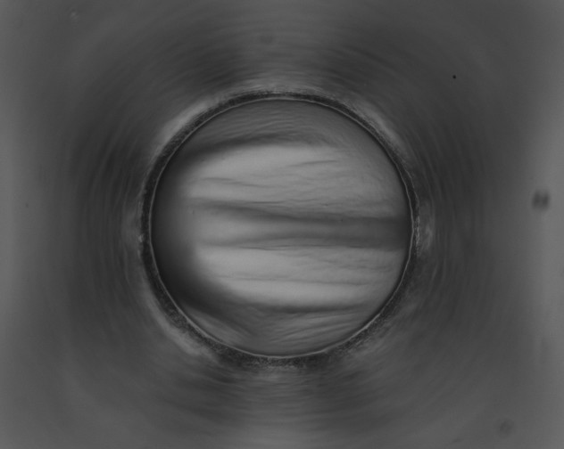 X0000091370438200708311528