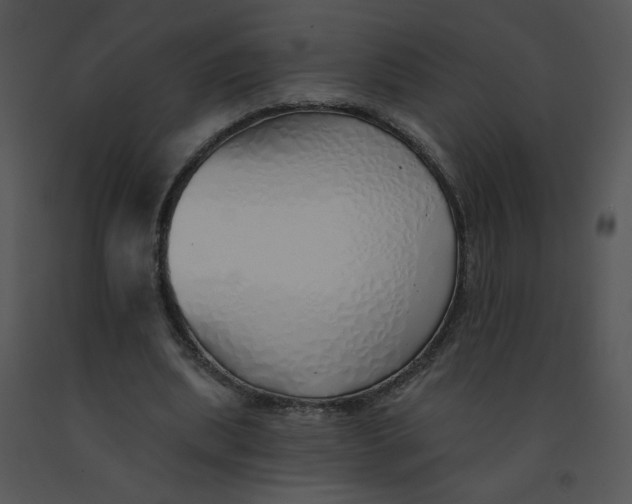 X0000091370439200708311528