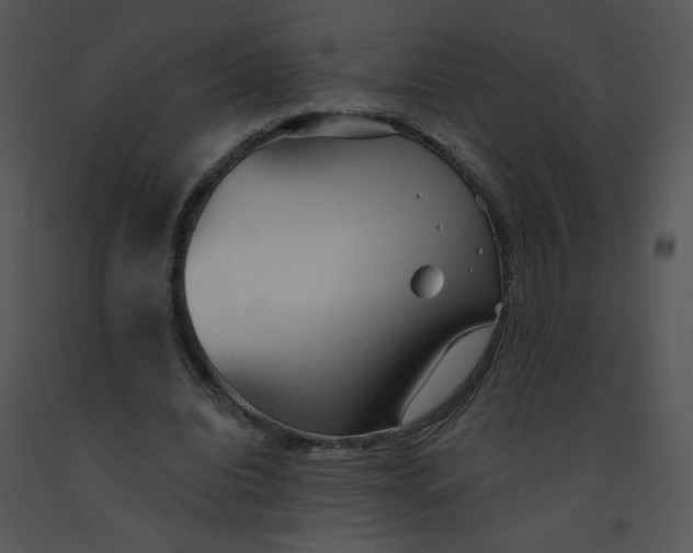 X0000091370440200708311528