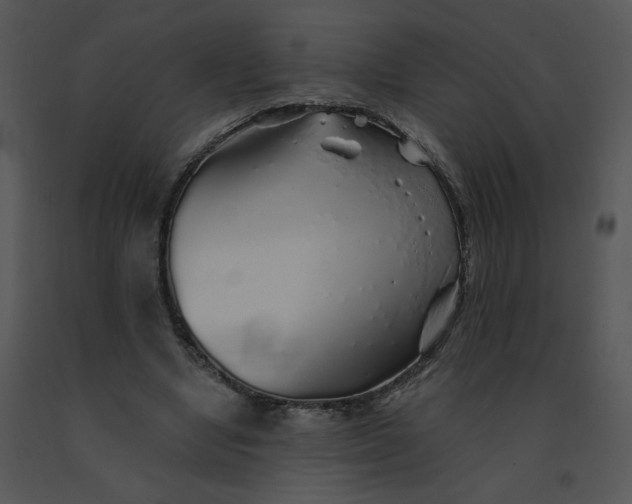 X0000091370442200708311528