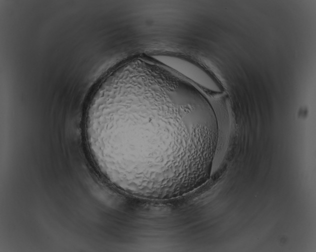 X0000091370443200708311528