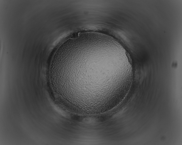 X0000091370444200708311528