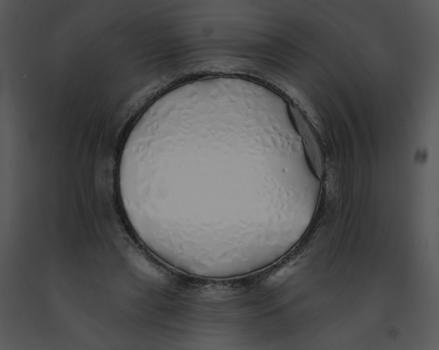 X0000091370445200708311528