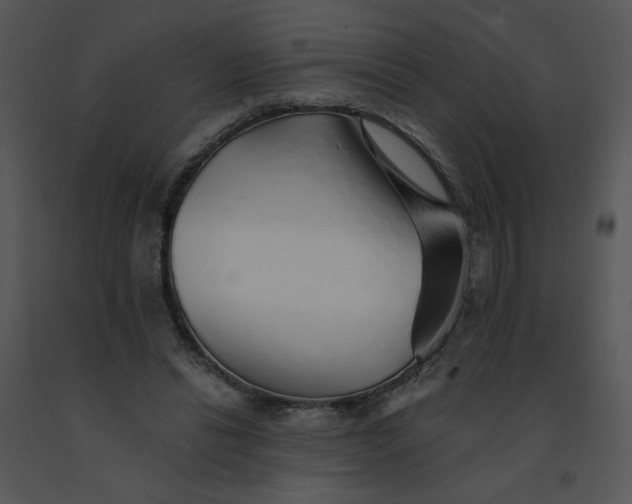 X0000091370446200708311528