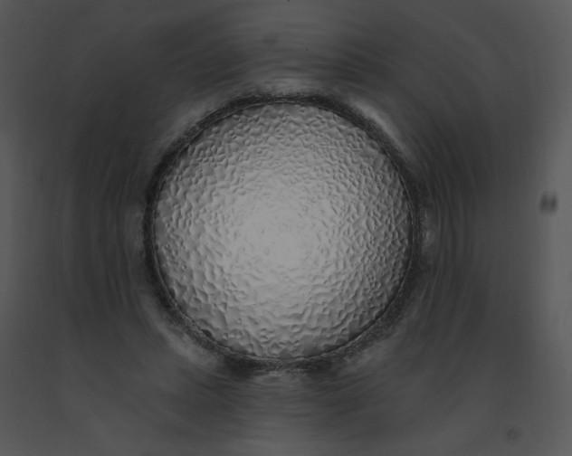 X0000091370447200708311528