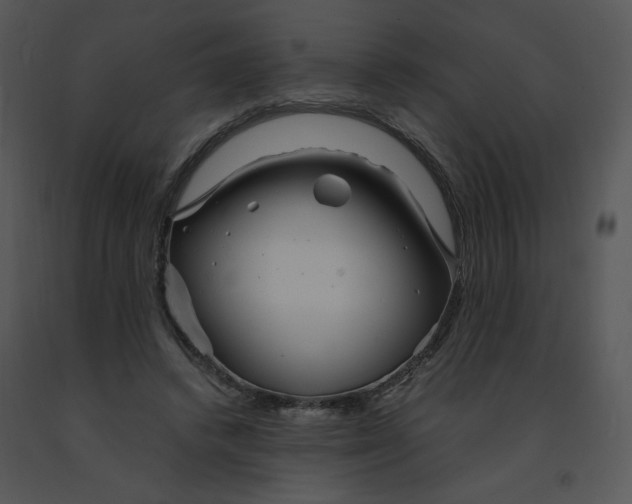 X0000091370448200708311528