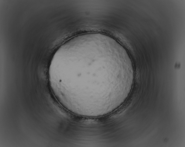 X0000091370449200708311529