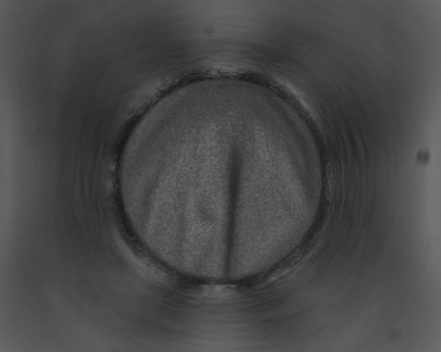 X0000091370451200708311529