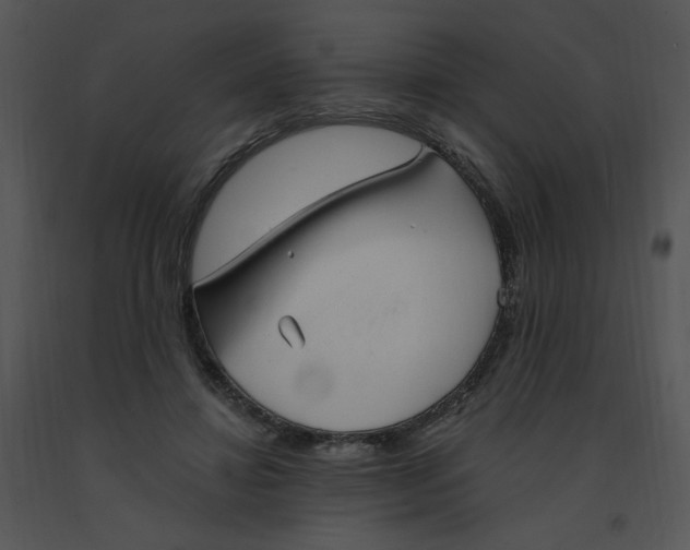 X0000091370452200708311529