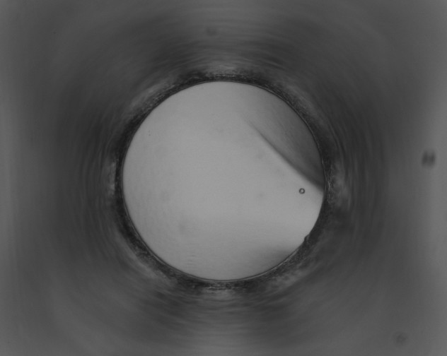 X0000091370454200708311529