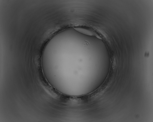 X0000091370455200708311529