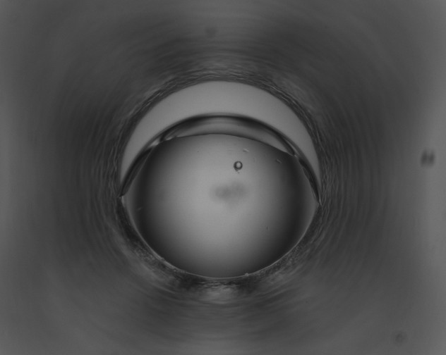 X0000091370456200708311529