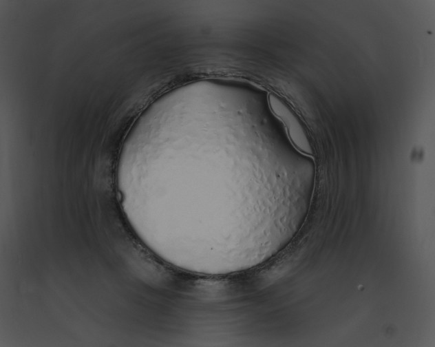 X0000091370457200708311529